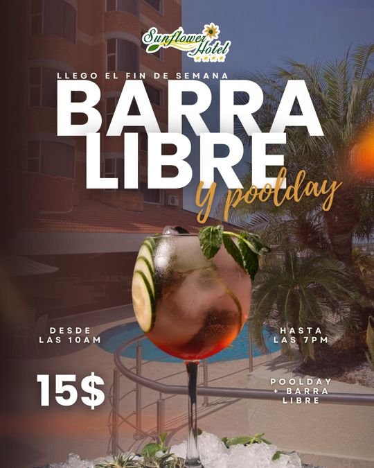 Sunflower Hotel: barra libre y pool day